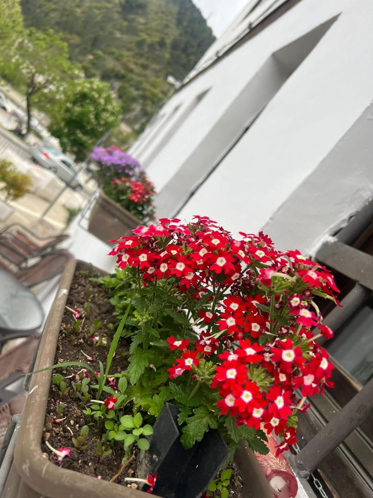 Hotel Omer Berat Quarto foto